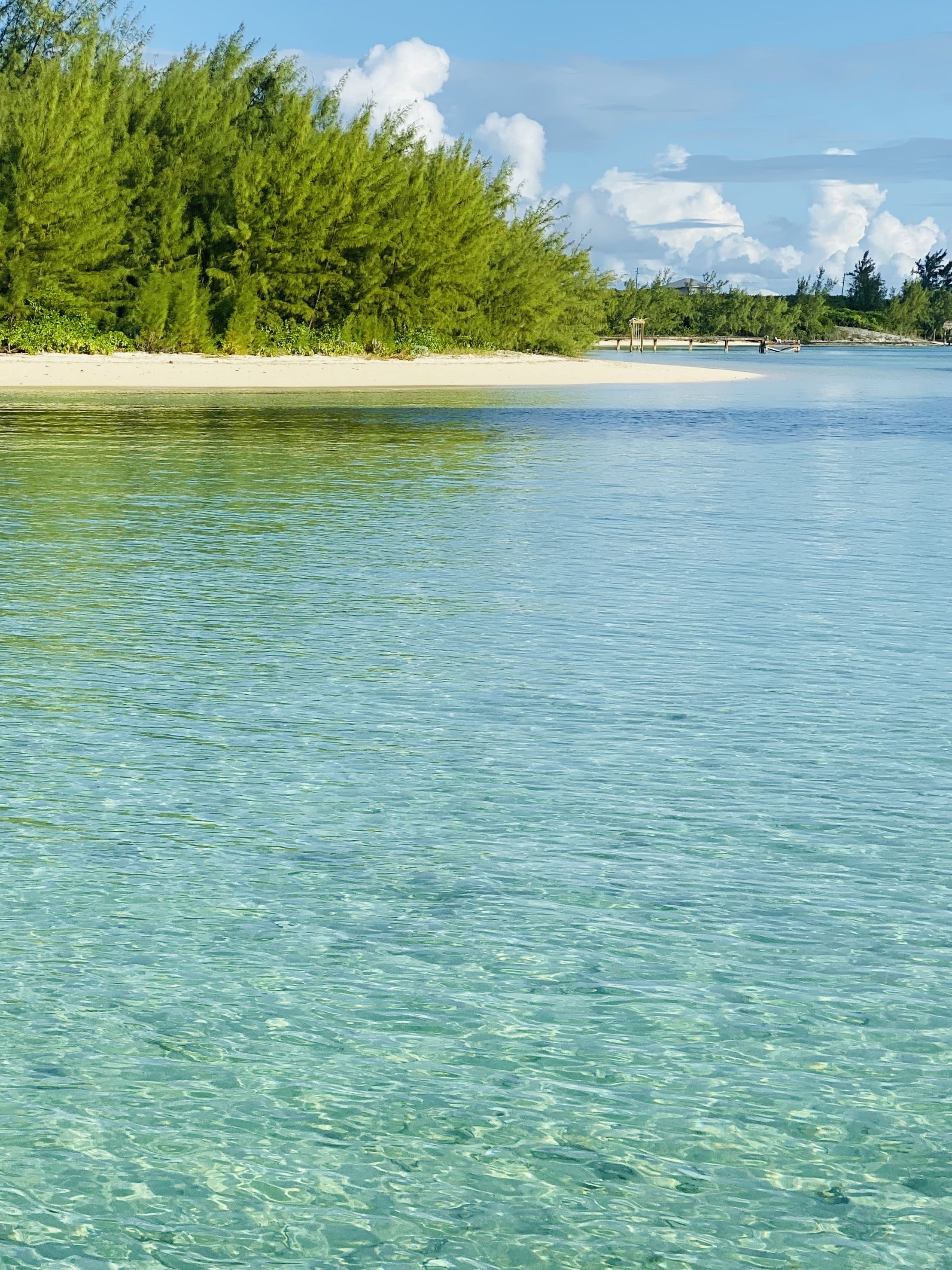 beachfront cottages in the bahamas