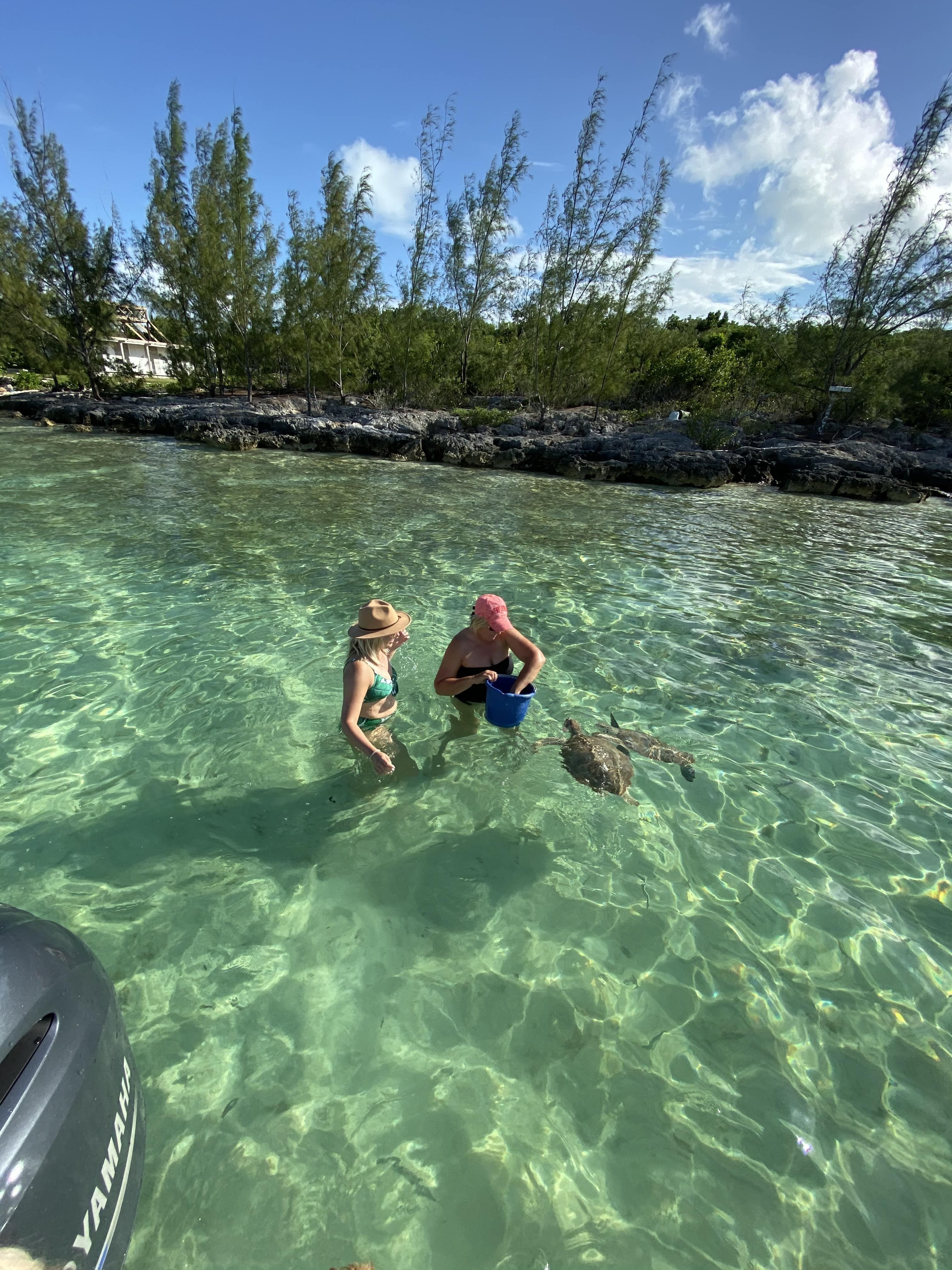 harbourside rentals bahamas